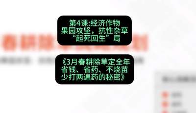 第4节：经济作物果园攻坚，抗性杂草&ldquo;起死回生&rdquo;局，课程：《3月春耕除草定全年：省钱、省药、不烧苗、少打两遍药的秘密》